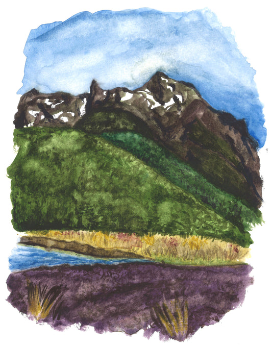 Mount Bonpland
